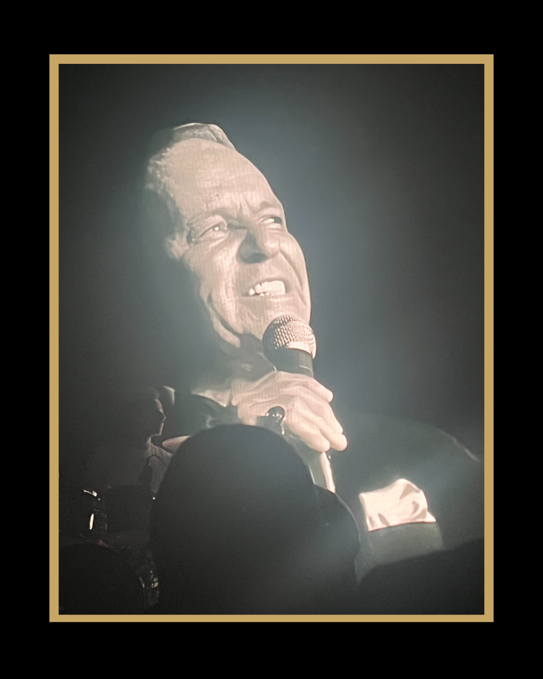 Willy sur scène dans le spectacle My Way avec musiciens et lumières façon Las Vegas