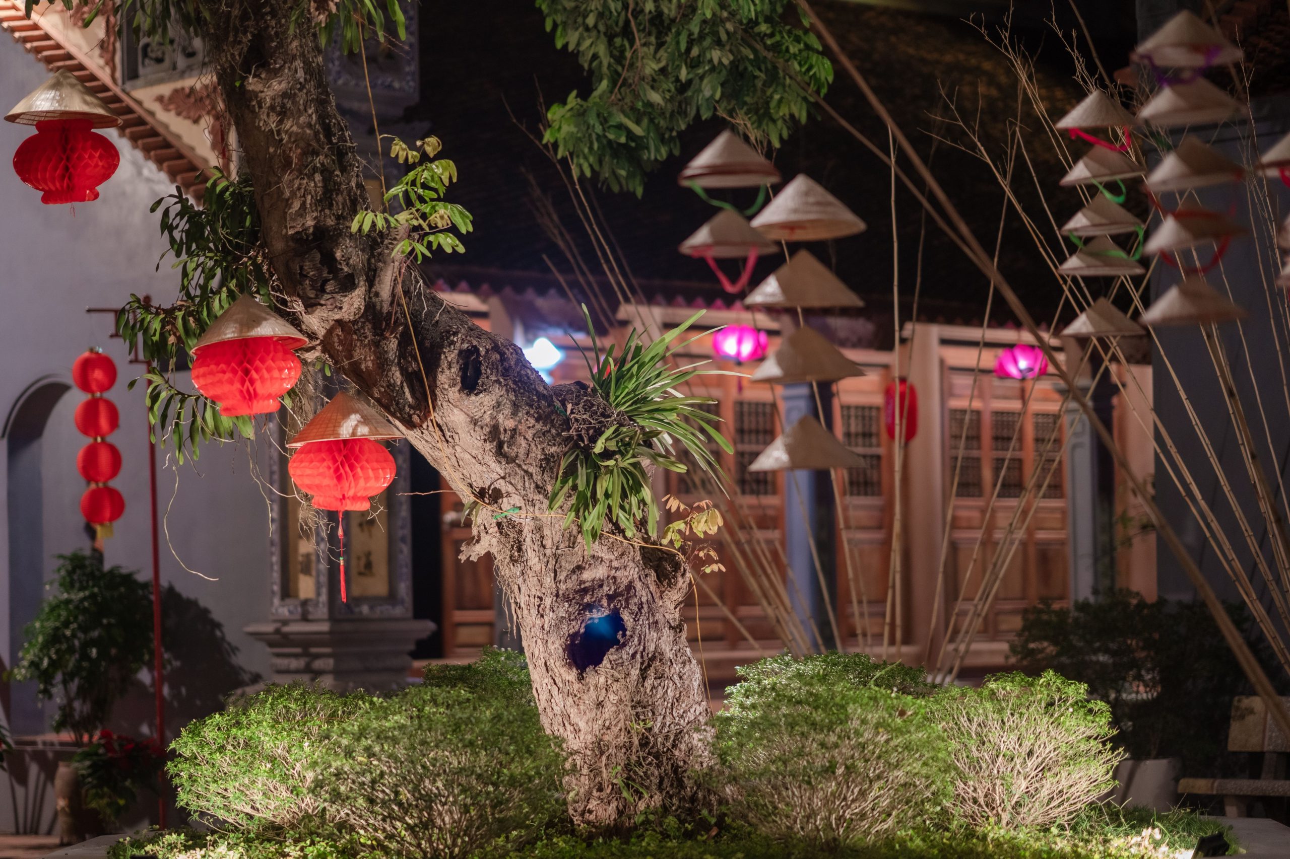 Lanternes décoratives et plantes jardin asiatique