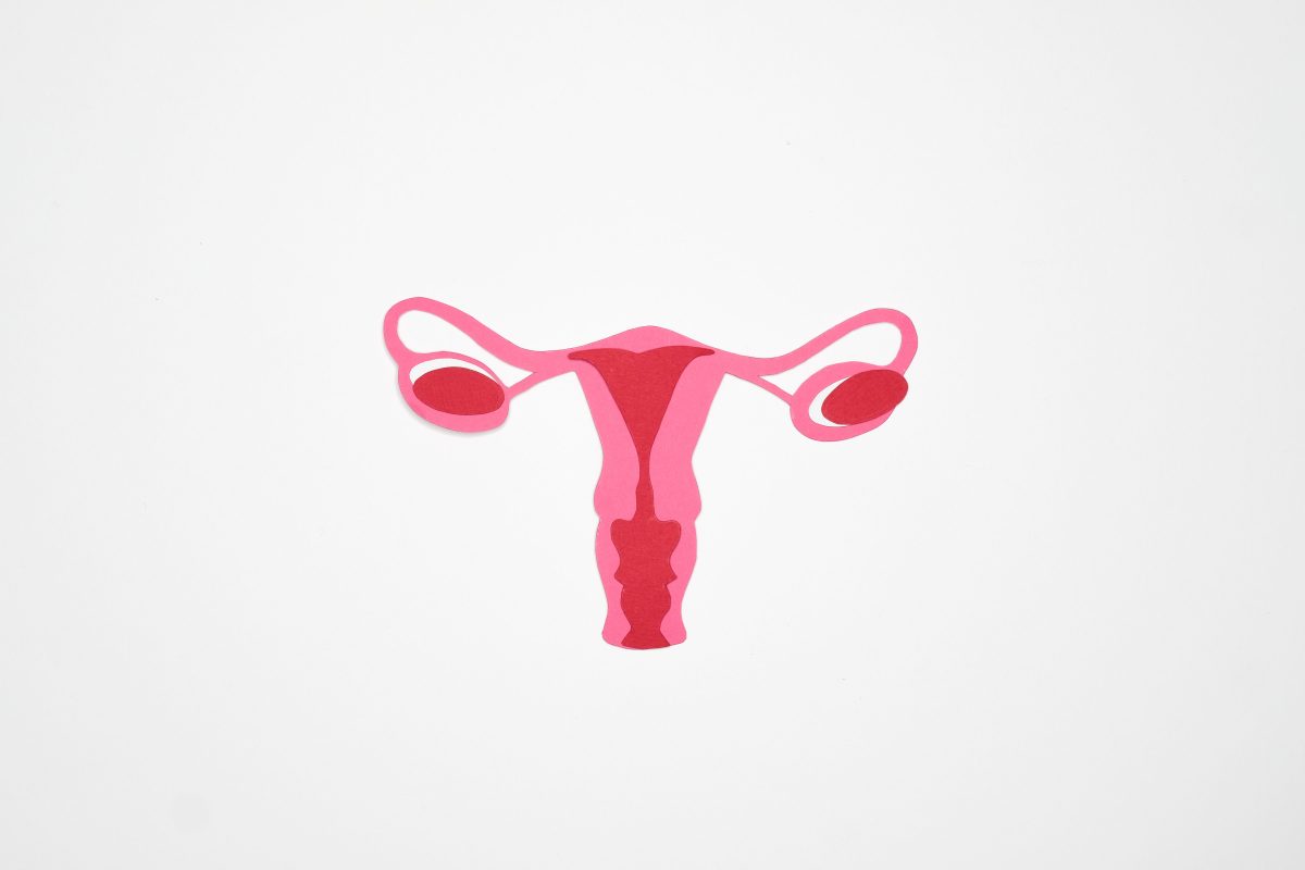 Où se trouve le clitoris exactement sur la vulve ?